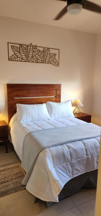 Suites Lomboy & Plaza San José del Cabo Esterno foto